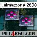 Home Zone 2600 01